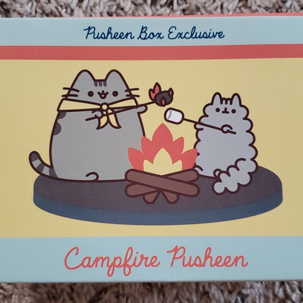 Campfire pusheen vinyl figure